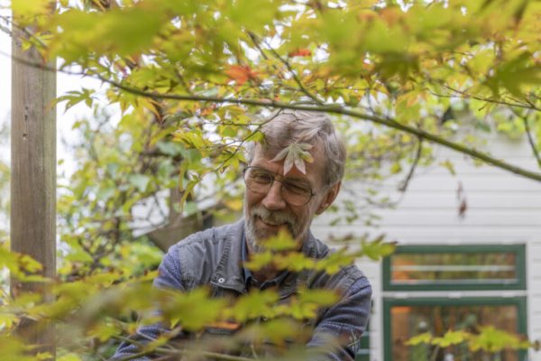 Vrijwilliger Henri knipt takken bij de pergola