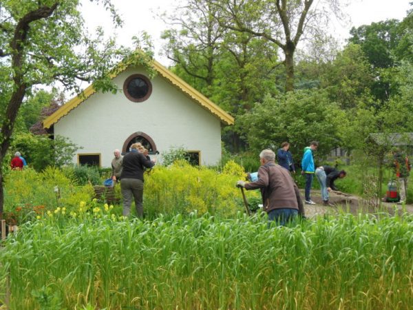 Vrijwilligers aan het werk in de tuin van InBredius