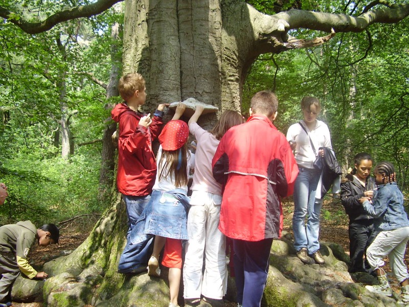 Kinderfeestje 'Heksenfeestje in het bos'