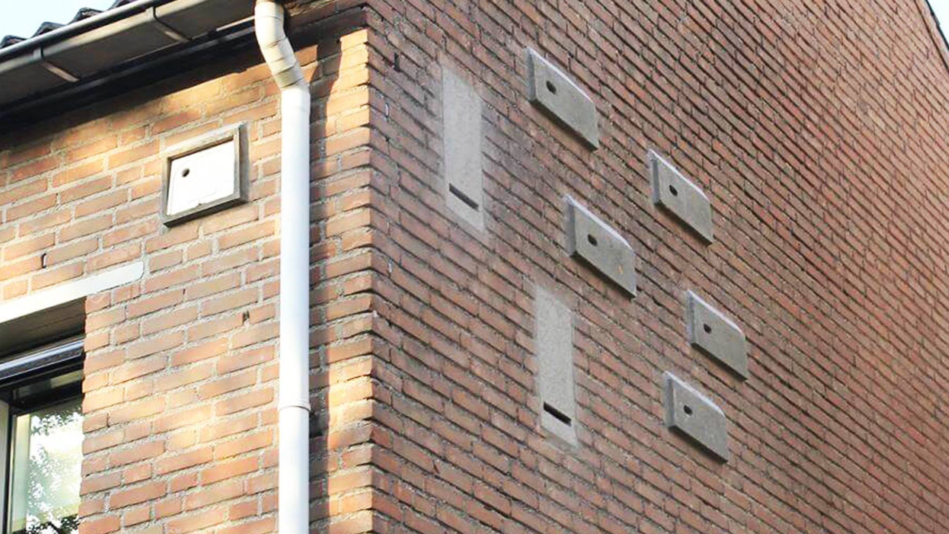 Inbouwkasten voor vleermuis, huismus en gierzwaluw